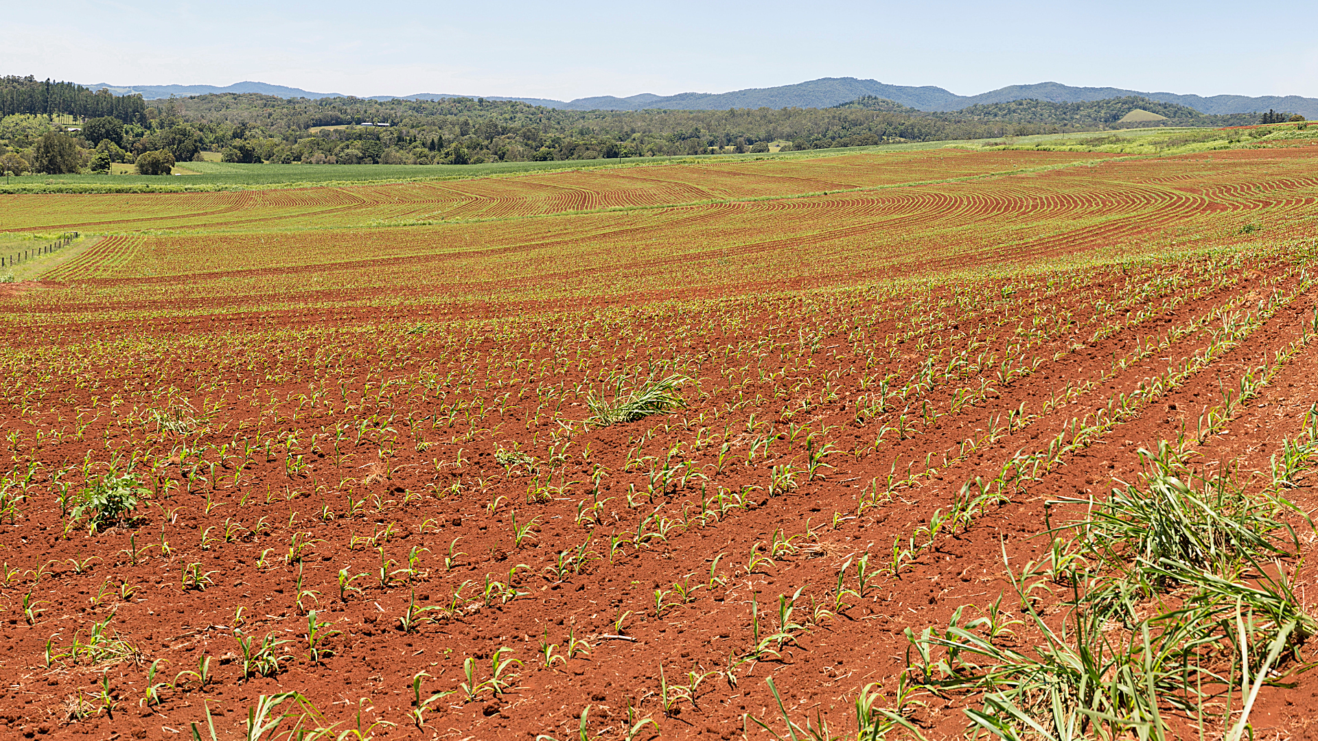 SPS stock images (3)